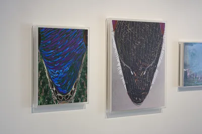 20130306 Alex Fischer Translation O'Born Contemporary 03 Earlier +Up documentation.jpg